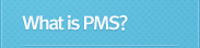 SW-PMS란?